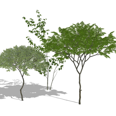 Modern landscape tree combination