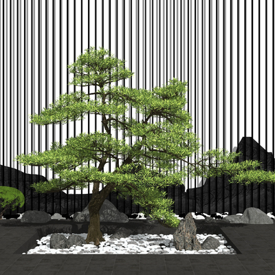 Chinese-style courtyard dry landscape welcome pine landscape sketch