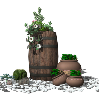 Modern Fleshy Cactus Barrel Landscape Sketches