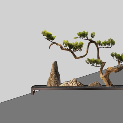 New Chinese Pine Bonsai Ornaments