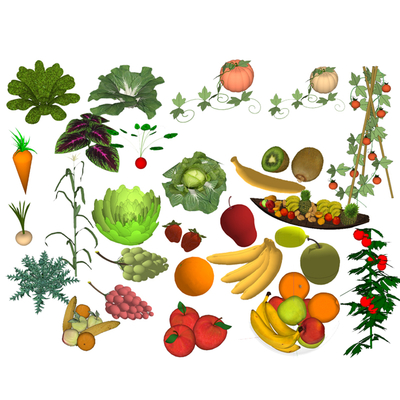 Modern fruits and vegetables