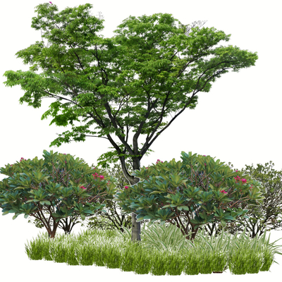 Modern Landscape Tree Shrub Components