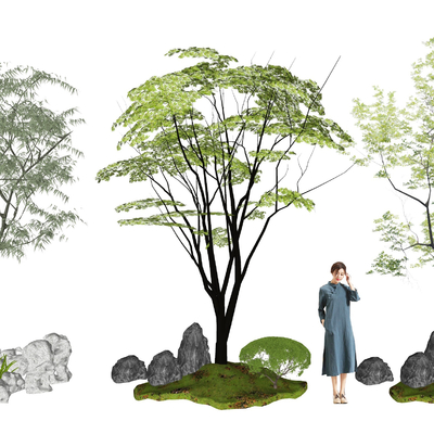 New Chinese Landscape Tree