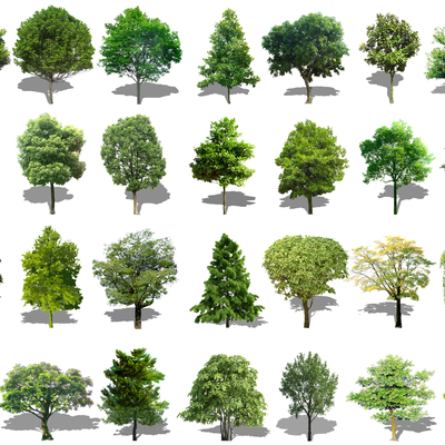 modern 2d trees landscape tree