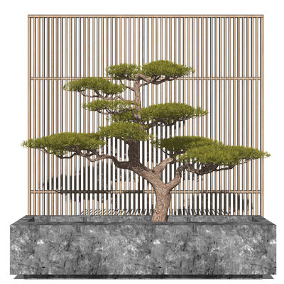 New Chinese Bonsai