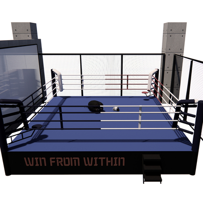 Modern boxing ring