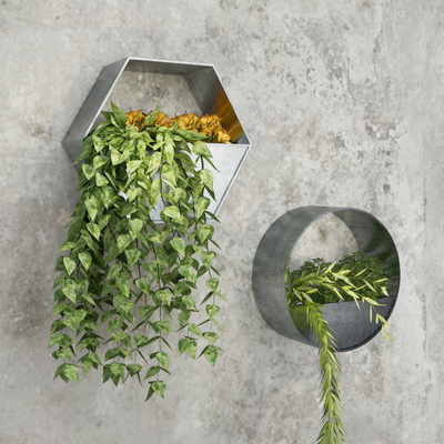 Nordic Wall Hanging Plants