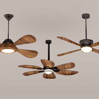 Nordic ceiling fan light fan light