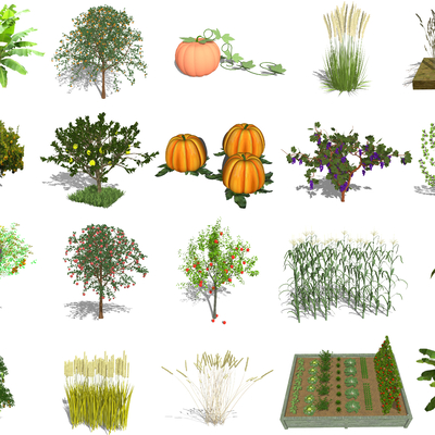 Modern crops, fruit trees, green plants