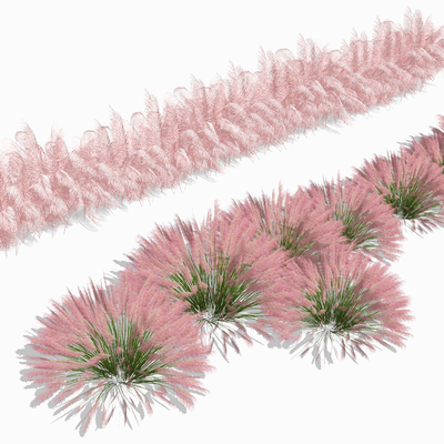 Modern Pink Feather Grass Net Red Pink Chaosy Flower Landscape Grass