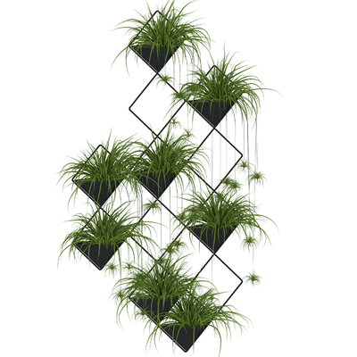 Modern Green Plant Wall