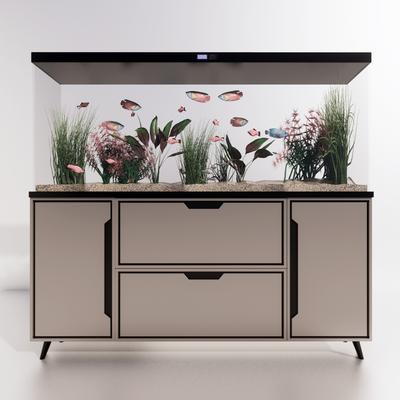 modern aquarium aquarium