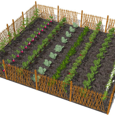 Modern vegetable garden