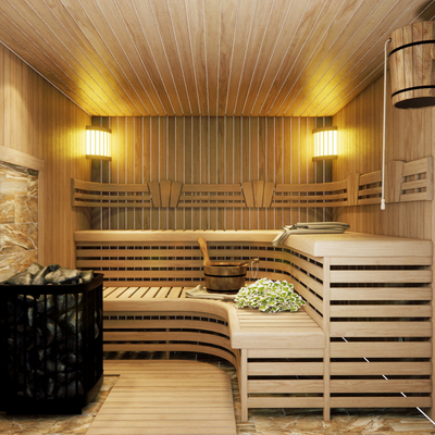 Modern Sauna Room