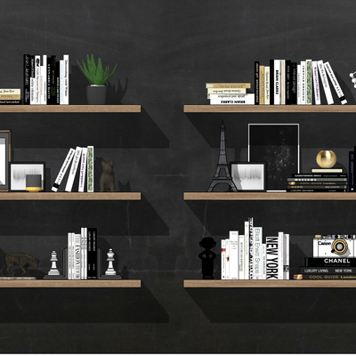 Modern Bookcase Wall Cabinet