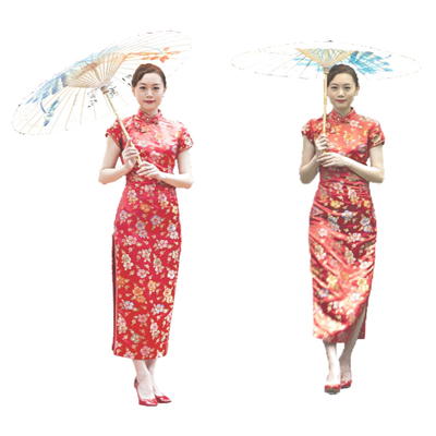 New Chinese Cheongsam Beauty Characters