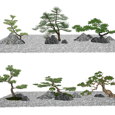 Neo-Chinese Style Luohan Pine Landscape Tree