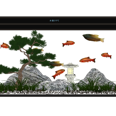 Modern fish tank aquarium