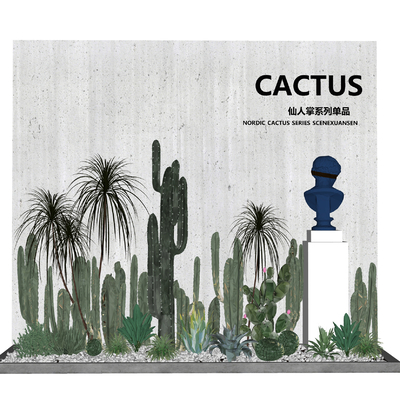 Modern cactus gardening sketch