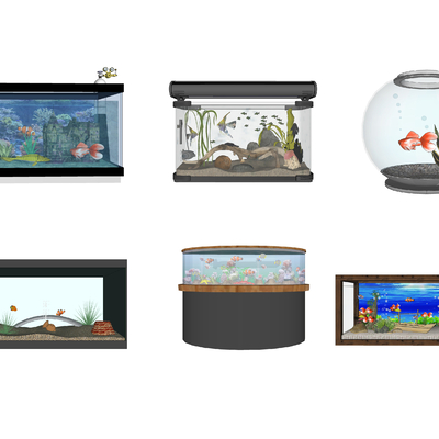 Modern fish tank fish pond