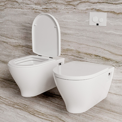 Modern wall-mounted toilet