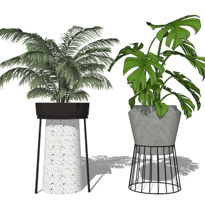 modern potted plant