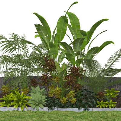 Modern banana tree flowers and plants landscape sketch