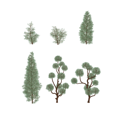 Modern Shrub Trees