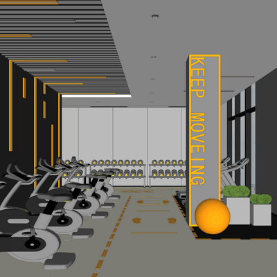 Modern Gym