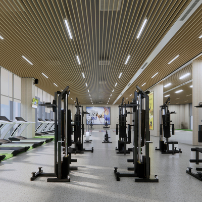 Modern Gym