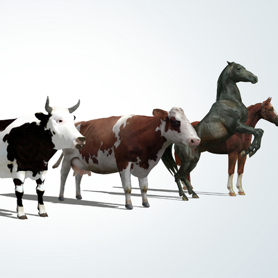 Modern livestock, cattle and horses