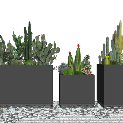 Modern Flower Box Flower Pond Cactus Potted Plant