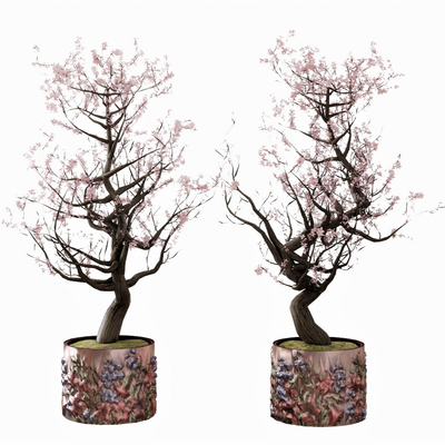 Modern Plum Blossom Potted Plant