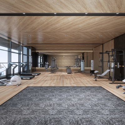 Modern Gym