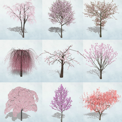 modern trees and shrubs