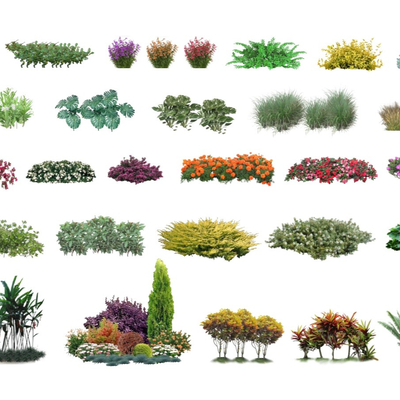 Modern shrubs and flowers