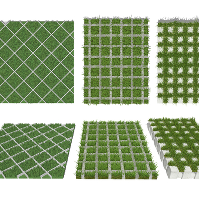 Modern Lawn Grass