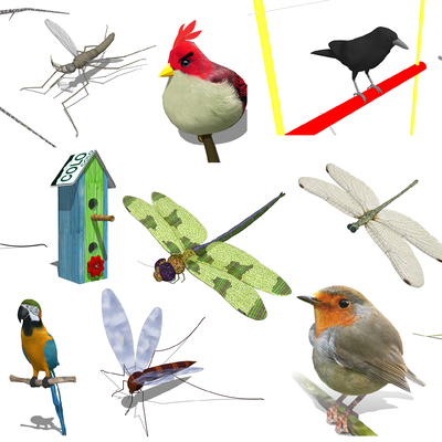 Modern Animals Birds