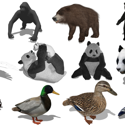 modern panda duck animal