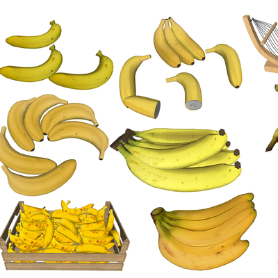 Modern Fruit Banana