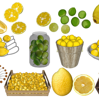 Modern fruit lemon