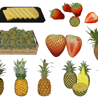 Modern Fruit Pineapple