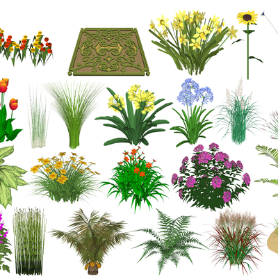 Modern flowers and shrubs