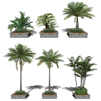 Modern Palm Tree Flower Bed