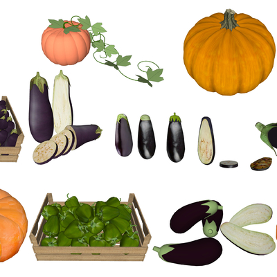 Modern Vegetables Pumpkin Pickled Pepper Eggplant