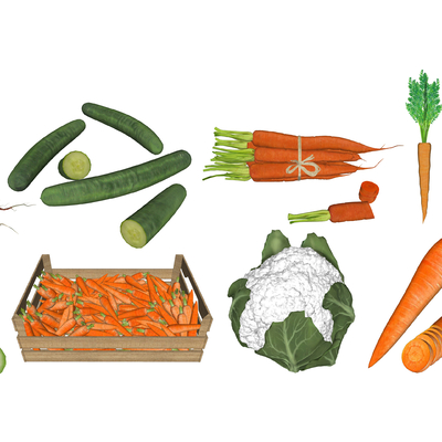 Modern Vegetable Carrot Cucumber