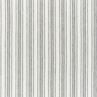 Cloth