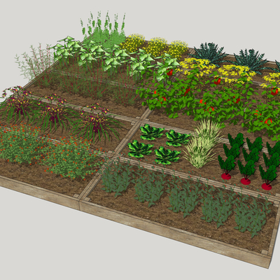 Modern Courtyard Vegetable Garden