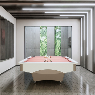 Modern Billiards Recreation Room