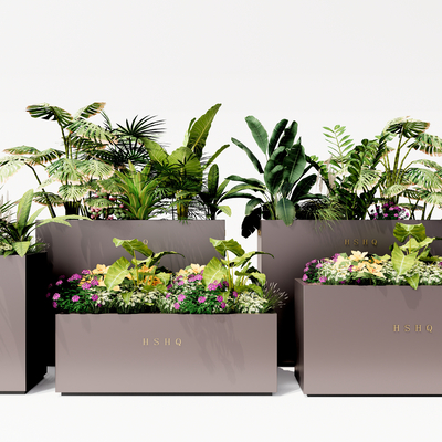 modern flower box plant potted